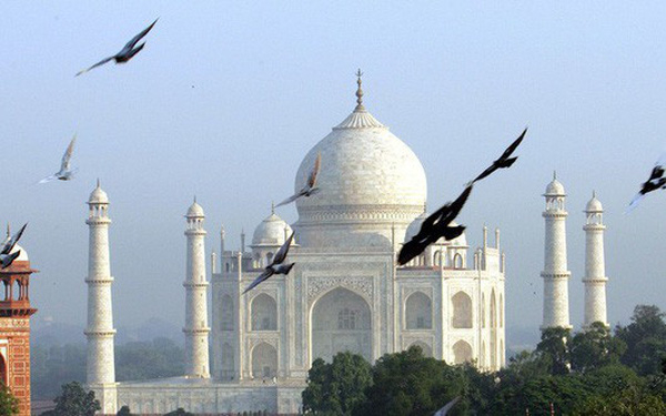 photo1531394841292-153139484129250769323