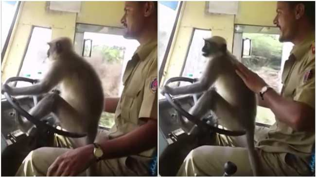 photo-1-1538987074205321648365.