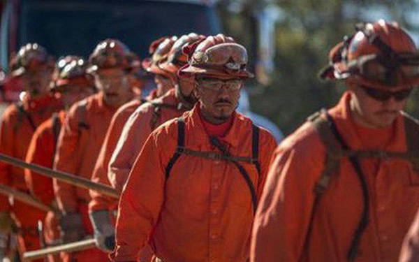 photo1542245732741-1542245732865-crop-154224574844