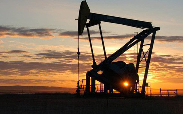 photo1543473094219-1543473094362-crop-154347313396