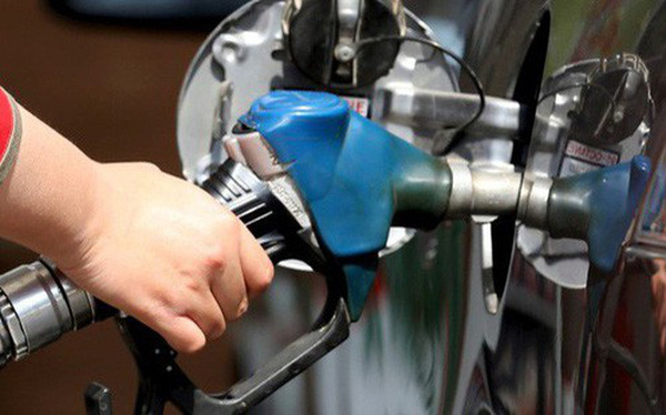 photo1543823924632-1543823924761-crop-154382394999