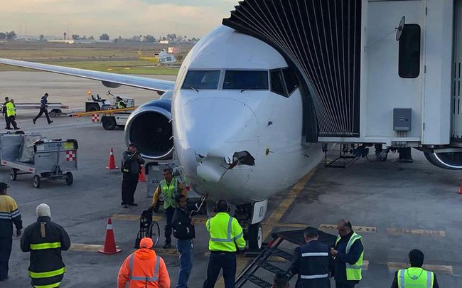 760x-1-16-154475558986677467112-crop-1544755595603