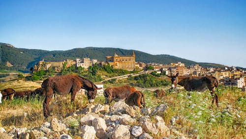 http-cdn-cnn-com-cnnnext-dam-a-8906-5993-154769426