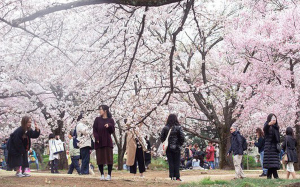 photo1554718204144-1554718204244-crop-155471822251