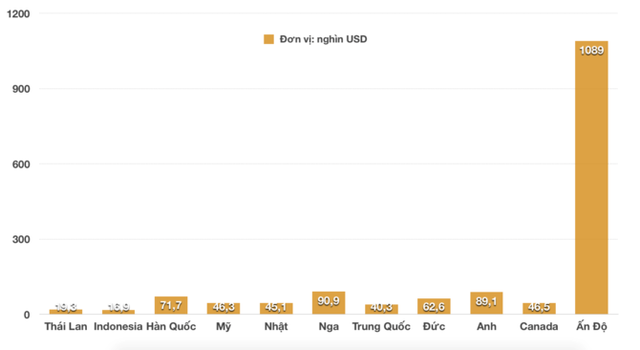 photo-1-1555466717421491142811