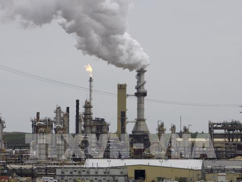 153011_gia-dau-the-gioi-hoi-phuc-nho-cac-lieu-thuo