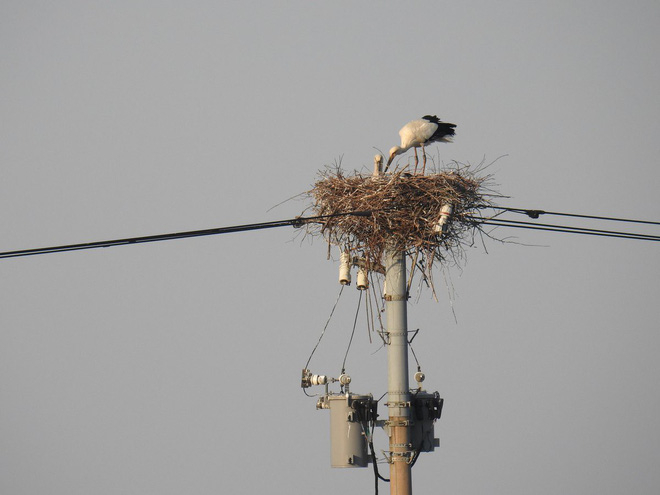 d6ksqcquuaalsyl-1558319802651120909585