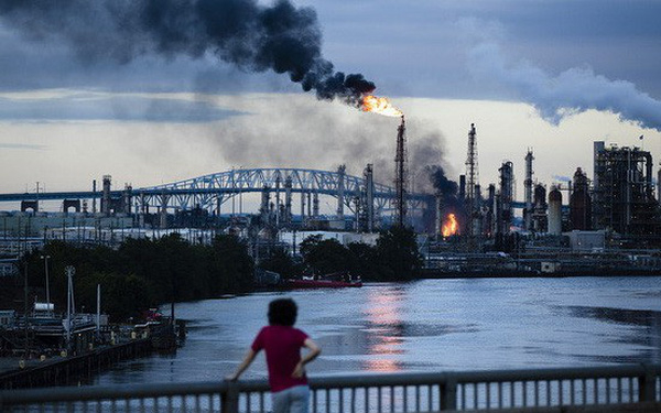 photo1561166680557-1561166680673-crop-156116670614