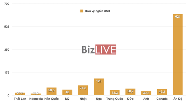 photo-1-15630676683041607544496