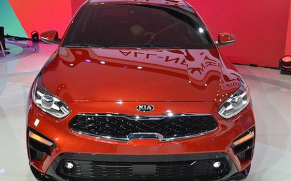 photo1564648855538-1564648855706-crop-156464886643