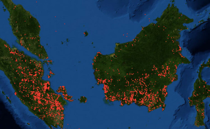 chay-rung-indonesia-5567-1569159662_bsdv