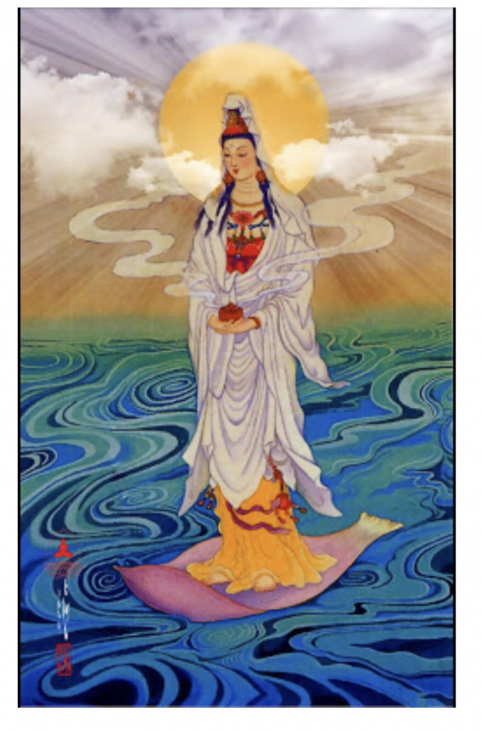 13F56371-DD92-4050-9542-2AB8A49B6A2F.