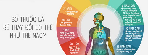 3149135_Tinhte-tac-dong-bo-thuoc-la-cover_resize