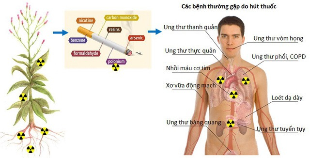 7997344F-F007-4CF0-A118-0E1B4764E43C.