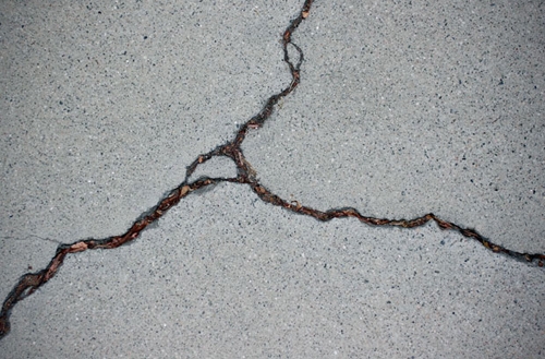 Bê tông sinh học tự liền bằng vi khuẩn