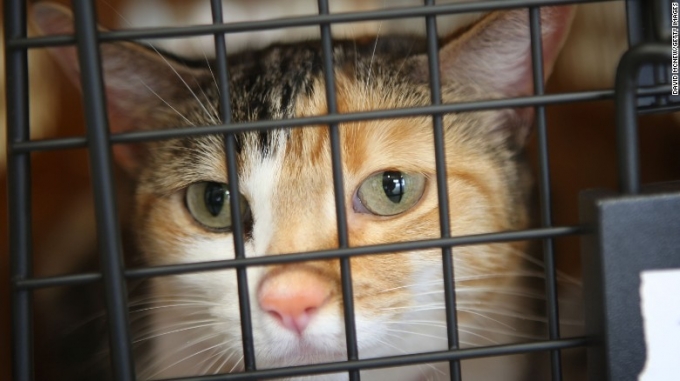 150330113617-02-airline-fees-exlarge-169