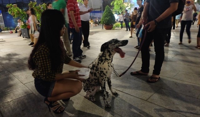 Không cho dẫn động vật vào đường Nguyễn Huệ.