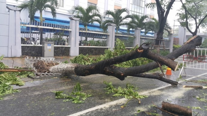 Bão số 3 tiến sát Đà Nẵng, cả thành phố náo loạn t