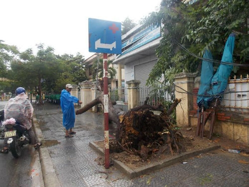 Bão số 3 tiến sát Đà Nẵng, cả thành phố náo loạn t