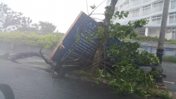 Bão số 3 tiến sát Đà Nẵng, cả thành phố náo loạn t