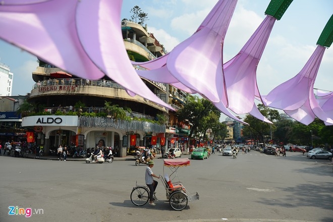 4 tháo dỡ đài hoa loa kèn