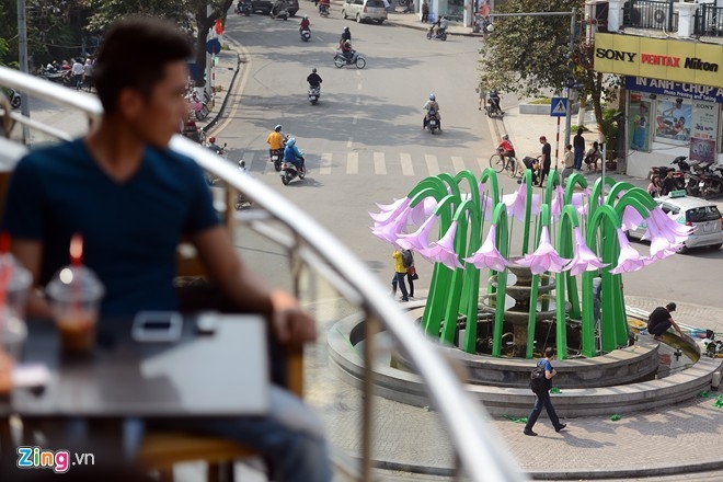 5 tháo dỡ đài hoa loa kèn