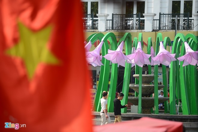 6 tháo dỡ đài hoa loa kèn