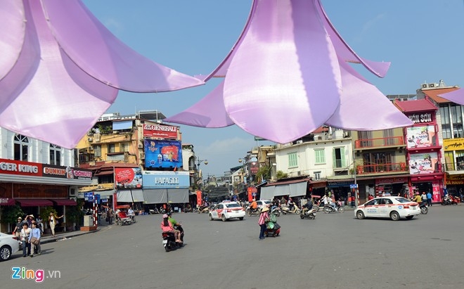 7 tháo dỡ đài hoa loa kèn