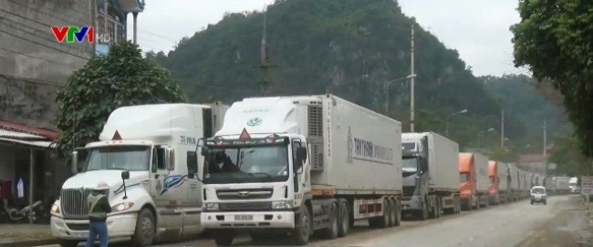 Hàng trăm xe dưa hấu, thanh long... %22bốc 