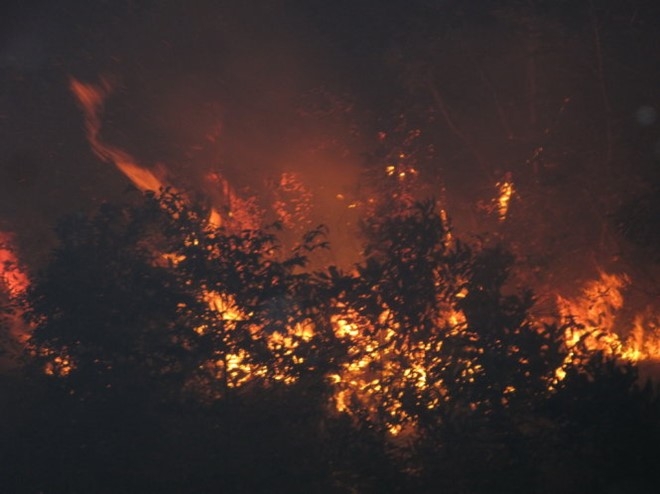 Dân đốt vàng mã bên đường, kiểm lâm va