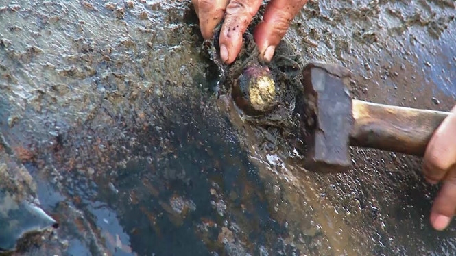 Gần 100.000 sinh mạng bị đe dọa vì công ngh