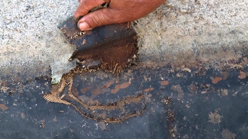 Gần 100.000 sinh mạng bị đe dọa vì công ngh