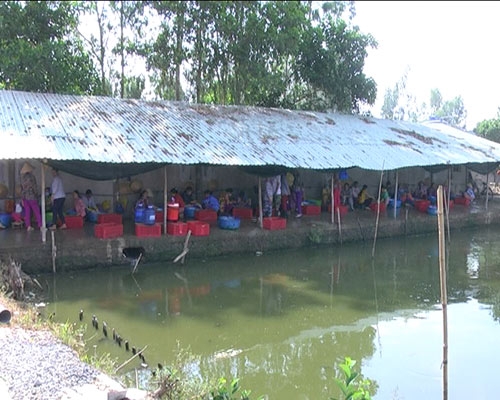 Phát hiện cơ sở giết mổ tẩy lông gia 