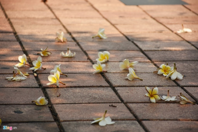 9 Không cần gạch cao cấp, vỉa hè đường Bạch Đằng 2