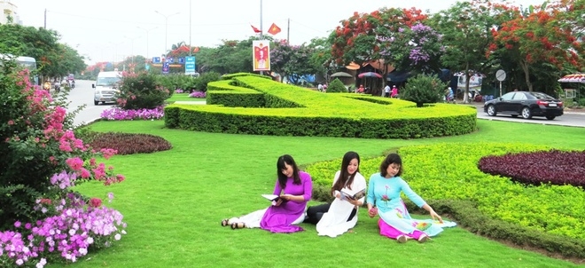 2 Đường hoa phượng dài nhất Việt Nam