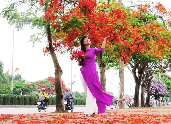 8 Đường hoa phượng dài nhất Việt Nam