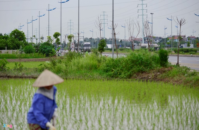 14 Chiêm ngưỡng hai tuyến đường sắp man