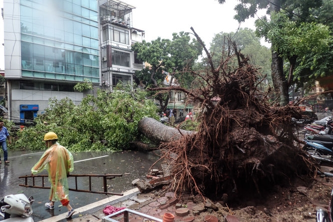 2 5 người thương vong do bão số 3