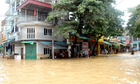 Bão số 3 cướp đi hàng chục tỷ đồng của