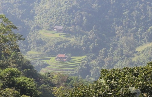2 11 hộ nghèo bán trâu bò lấy hơn 300 triệu làm đư