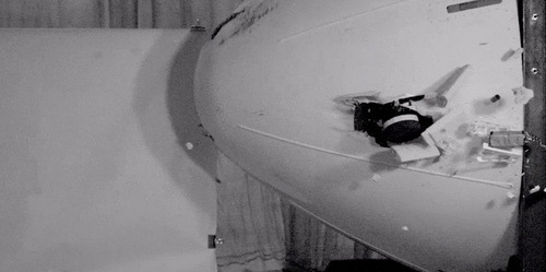 Hiểm họa từ flycam đối với máy bay chở khách