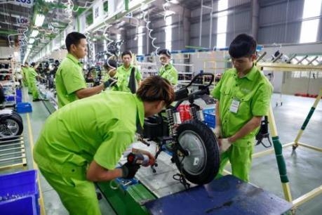 Kiểm tra, đề xuất phương án xử lý chống hàng giả X