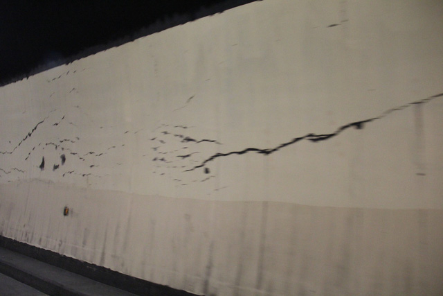 Rạn vỏ hầm Hải Vân