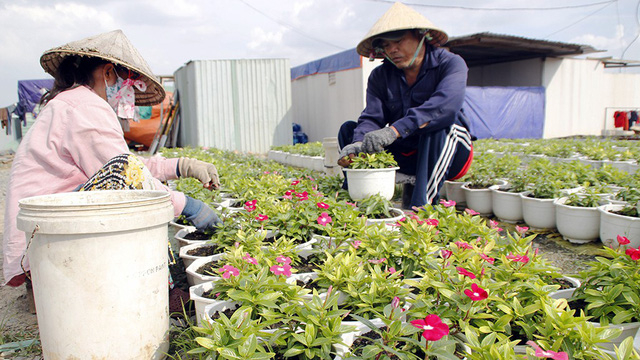 mg3454-1read-only-1514512835115