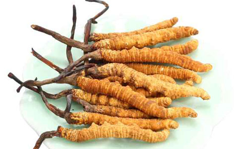 dong-trun-3667-1517201613