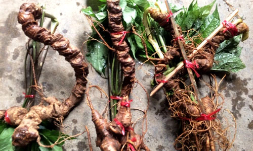 sam-123-1417-1517201613