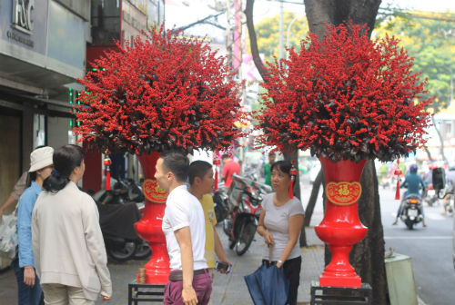 160 triệu đồng cặp đông đào trưng Tết