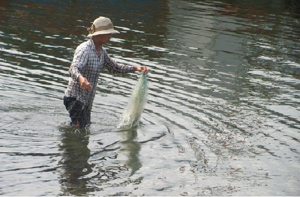 Ảnh hưởng bão số 3, một ngư dân bị đuối nước thươn