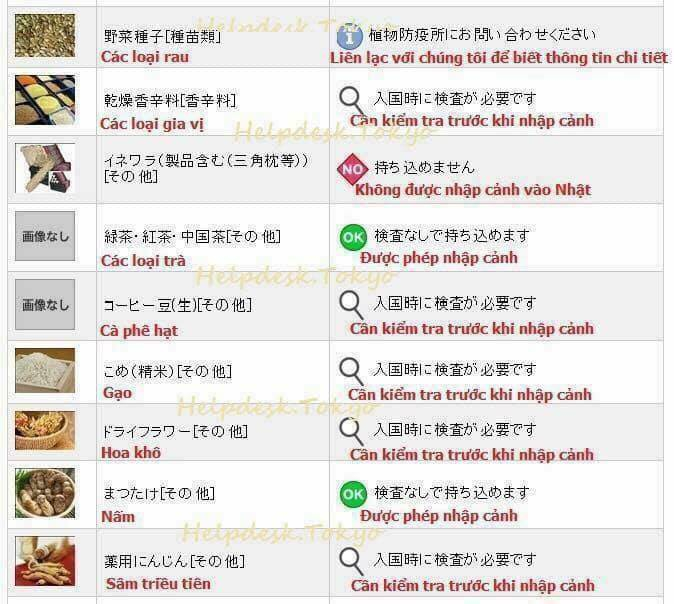 436808908550234979554414252244234104471552n-153932