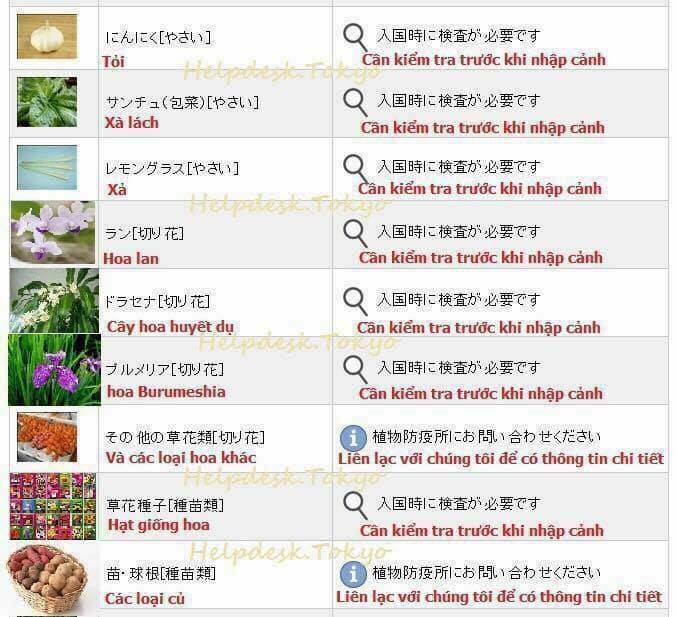 437270238550235312887717658519119376941056n-153932